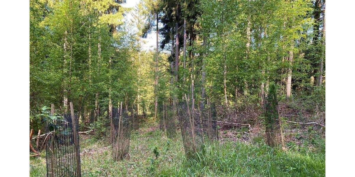 Grundstück Flossenbürg - 170.000&euro; | Angebot:26036735