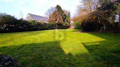 5,8 % RENDITE - 5 EINHEITEN - ZUSÄTZLICHES BAUGRUNDSTÜCK - Mehrfamilienhaus, Wohnhaus Lübbecke | Angebot:25412898