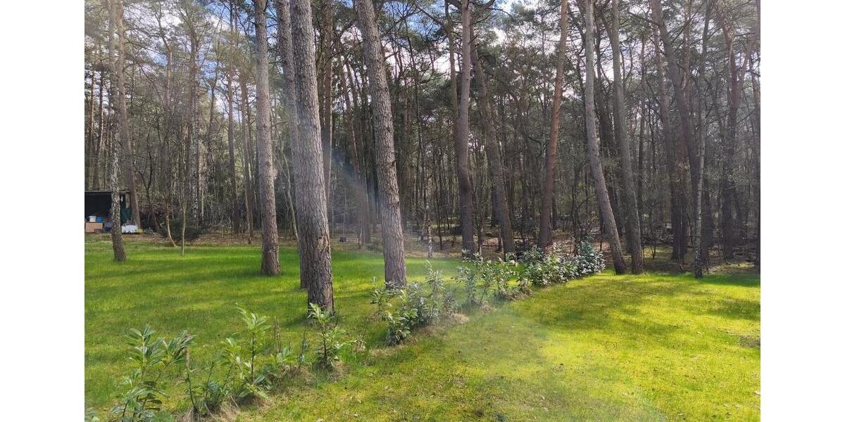 Einfamilienhaus Sottrum - 3 Zimmer, 98 m&sup2;, 299.000&euro; | Angebot:26105377