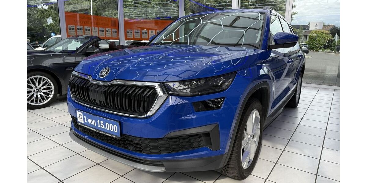 Skoda Kodiaq 110.850 km 24.990 &euro; Groß-Umstadt 64823