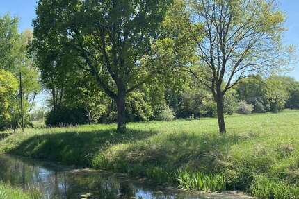 Grundstück in Bergfriede 440.000 € 358318 m² zimmer