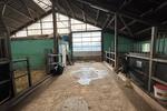 Gewerbeobjekt Brokstedt - 1.500&euro; | Angebot:26339149