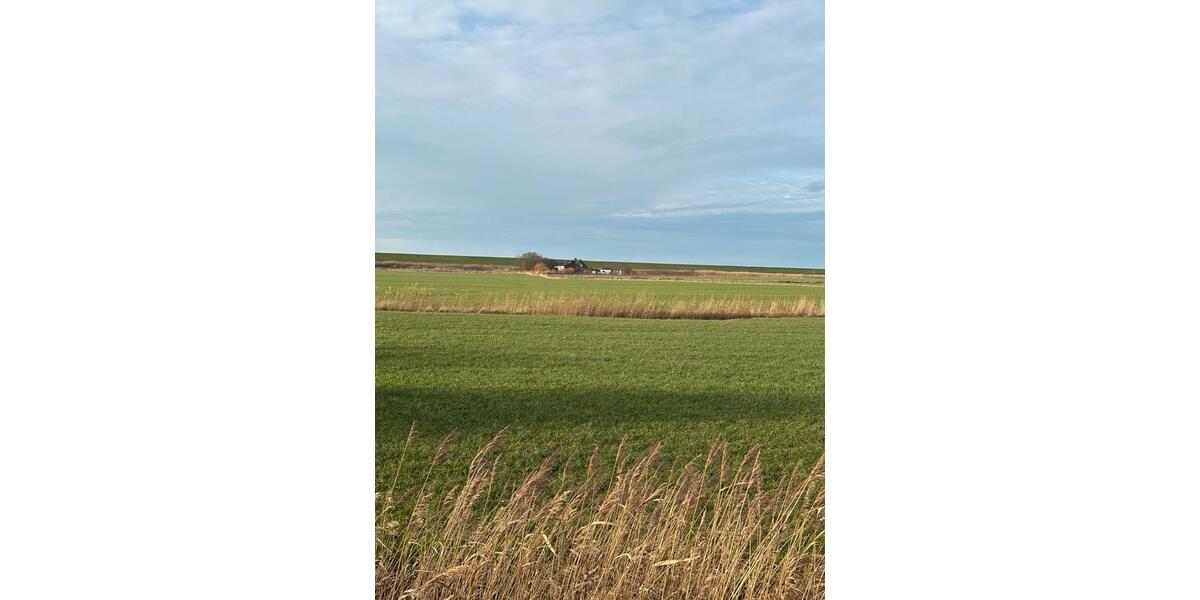 Einfamilienhaus Klanxbüll - 5 Zimmer, 135 m&sup2;, 649.000&euro; | Angebot:25841283