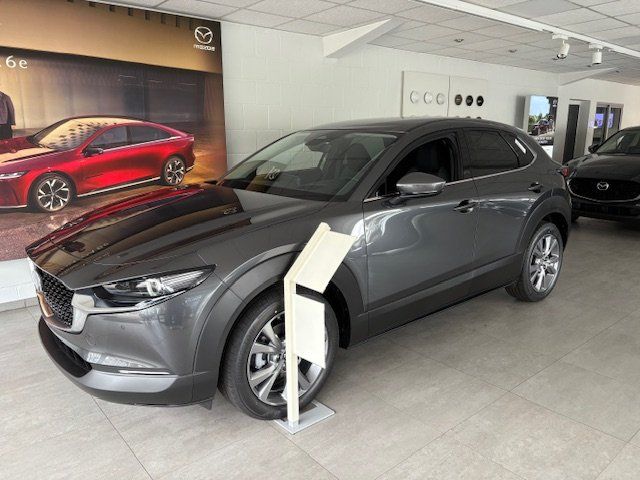 Mazda CX-30 4.798 km 32.400 &euro; Kreuztal 57223