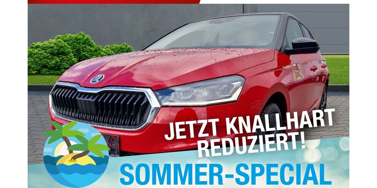 Skoda Fabia 42.518 km 18.290 &euro; Marktredwitz 95615