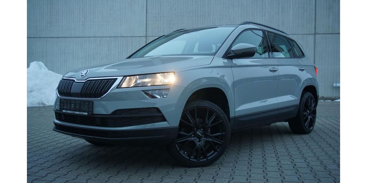 Skoda Karoq 49.987 km 23.950 &euro; Parkstetten 94365