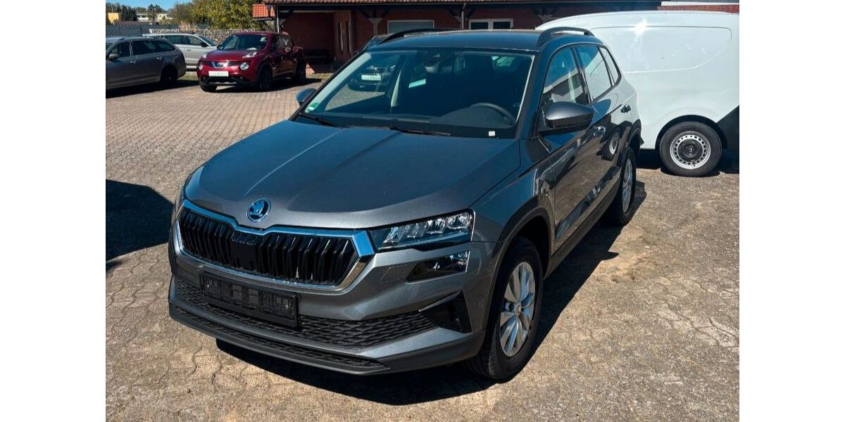 Skoda Karoq 2.489 km 29.950 &euro; Hagenow 19230