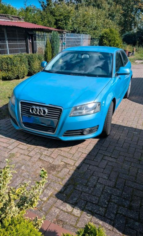 A3