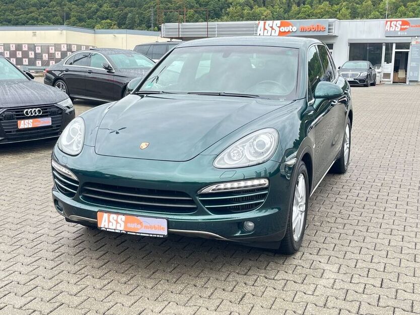 Cayenne
