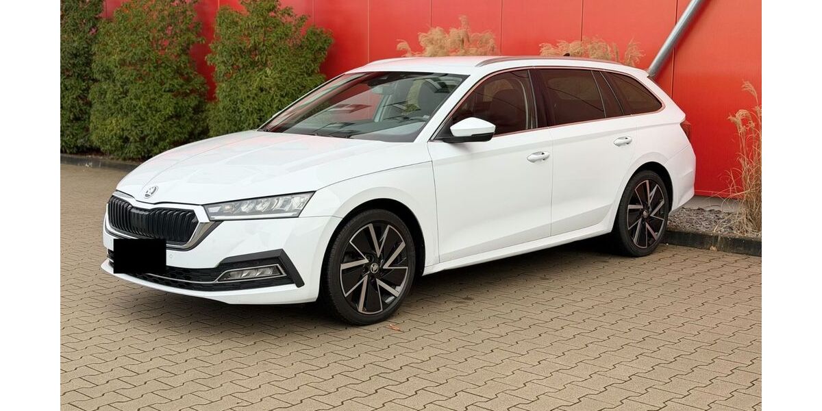 Skoda Octavia 230.000 km 19.200 &euro; OFFENBURG 77652