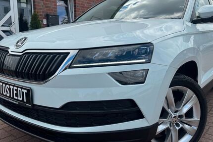 Skoda Karoq 156.000 km 13.880 &euro; Hollenstedt 21279