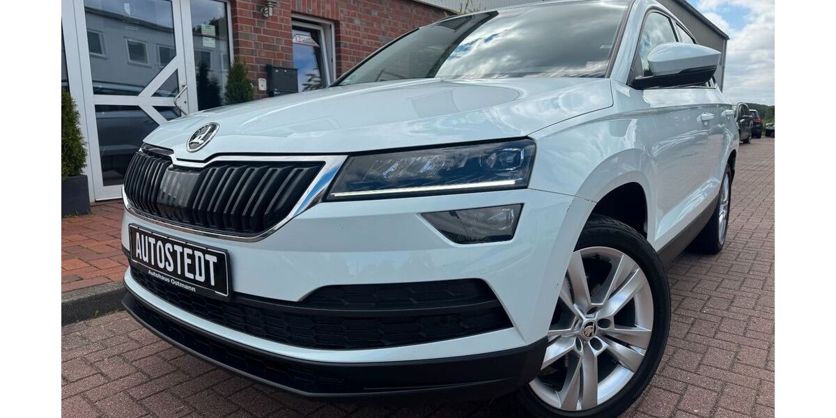 Skoda Karoq 156.000 km 13.990 &euro; Hollenstedt 21279