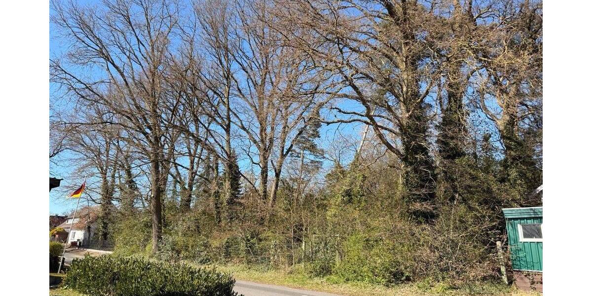 Grundstück Eystrup - 85.000&euro; | Angebot:26127589
