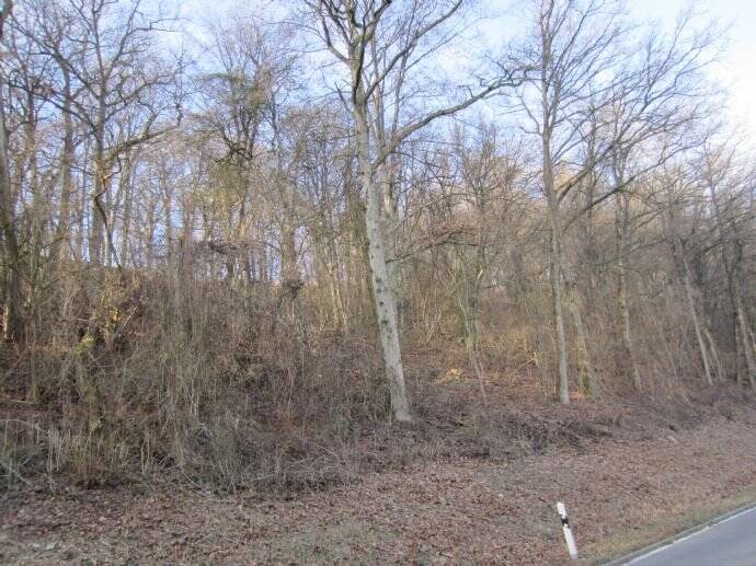 Grundstück Widdern - 25.000&euro; | Angebot:25700084