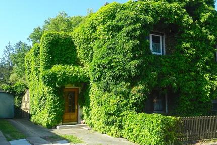 Zweifamilienhaus 8 zimmer