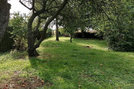 Idyllisches Baugrundstück in Kühlungsborn - Exklusiver vorderer Grundstücksbereich zimmer