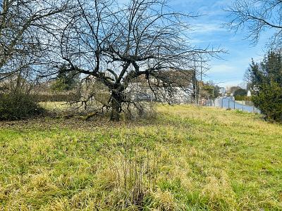 EXKLUSIVER RAUM MIT POTENZIAL - Grundstück Buttenheim | Angebot:26993955