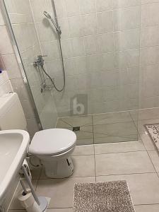 FRISCH RENOVIERT, MÖBILIERT, MIT WINTERGARTEN - Erdgeschoßwohnung Frankfurt am Main Sachsenhausen | Angebot:26570845