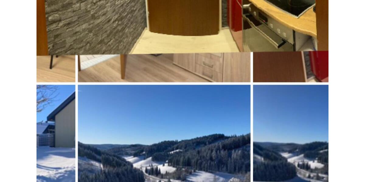 Etagenwohnung Schönwald im Schwarzwald - 1 Zimmer, 25 m&sup2;, 60.000&euro; | Angebot:27143045