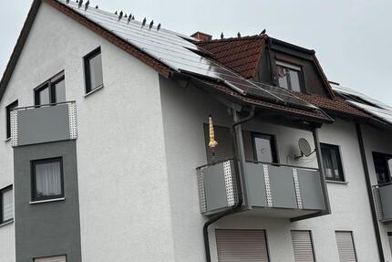 Vermiete 4 Zimmer Whg. in Gundelsheim 4 zimmer