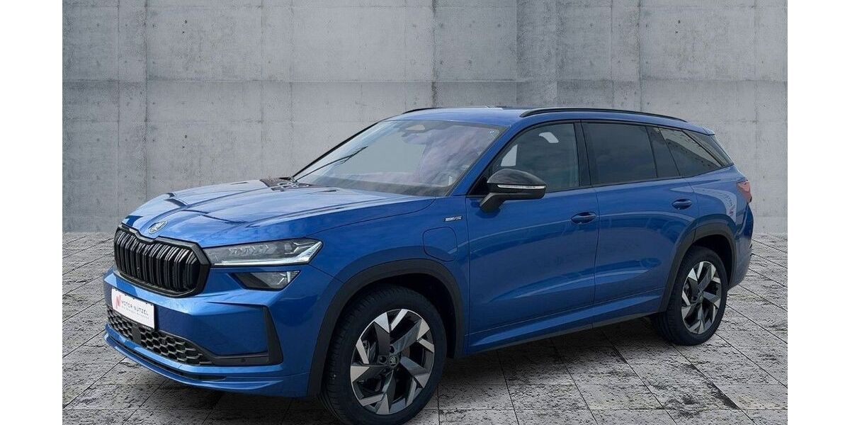 Skoda Kodiaq 1.100 km 50.170 &euro; Bamberg 96052