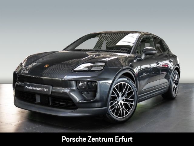 Macan