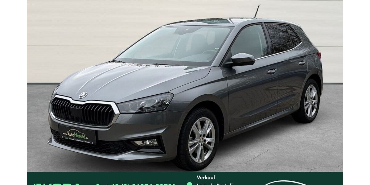 Skoda Fabia 27.629 km 21.890 &euro; Leinefelde-Worbis 37339