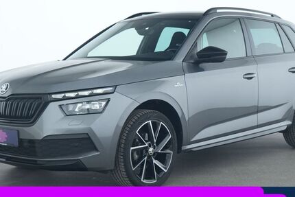 Skoda Kamiq 23.541 km 25.832 &euro; Dietzenbach bei Frankfurt 63128