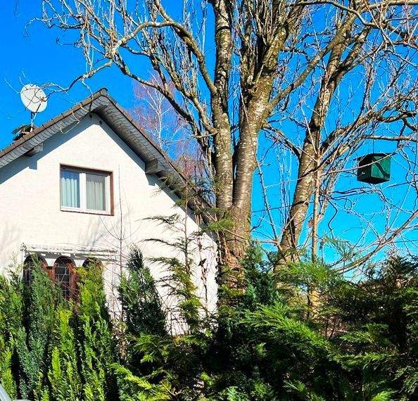 Mehrfamilienhaus, Wohnhaus Nümbrecht Bierenbachtal - 8 Zimmer, 285 m&sup2;, 204.000&euro; | Angebot:24635561