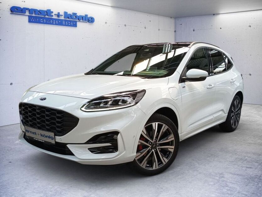 Kuga