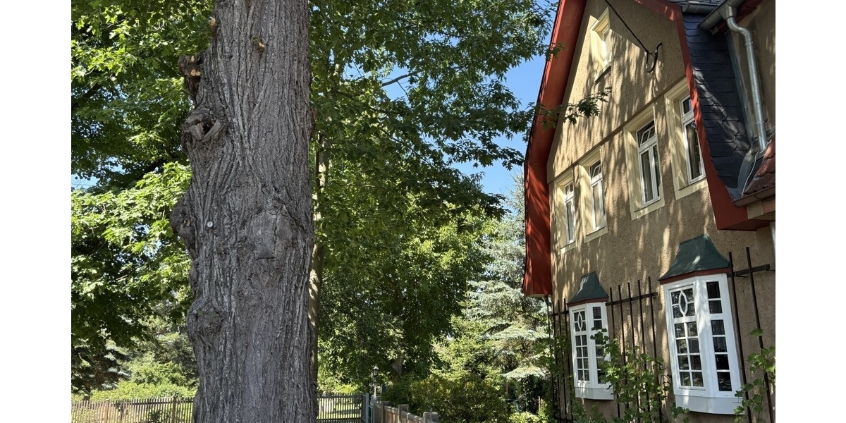 Grünes Paradies für Groß und Klein: Großzügige Doppelhaushälfte in absolut ruhiger Idylle - Doppelhaushälfte Weinböhla | Angebot:27022913