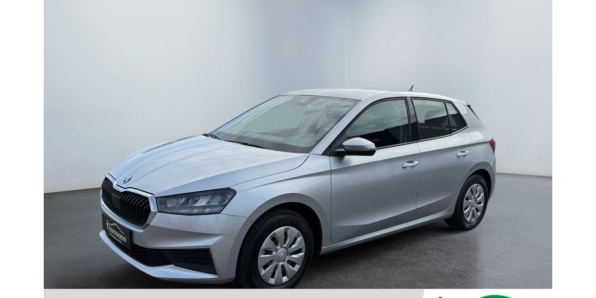 Skoda Fabia 14.606 km 14.475 &euro; Gardelegen 39638