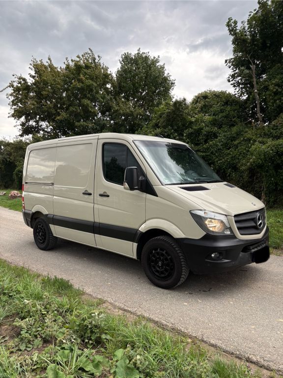 Sprinter