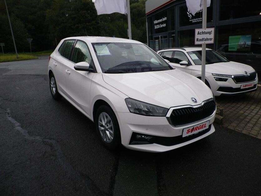 Skoda Fabia 43.900 km 18.370 € Bad Elster 08645