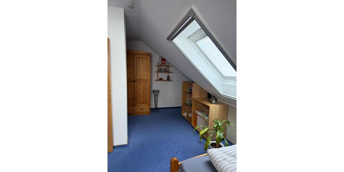 Einfamilienhaus Molbergen - 435.000&euro; | Angebot:24945208