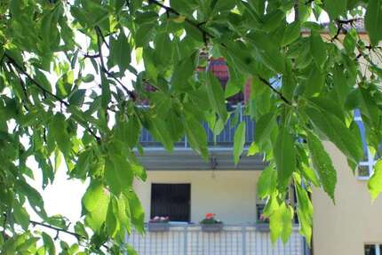 Wohnung zum Kaufen in Freital 128.000 € 63 m² 3 zimmer