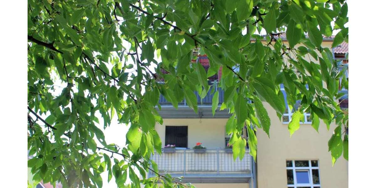 Wohnung zum Kaufen in Freital 128.000 € 63 m² 3 zimmer