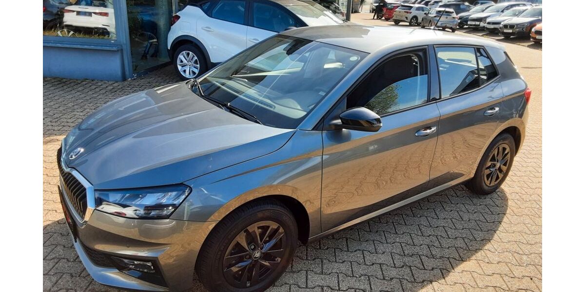 Skoda Fabia 21.950 km 17.990 &euro; Monschau (bei Aachen) 52156