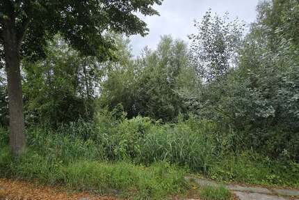 Grundstück zu verkaufen in Jarmen 29.000 € 749 m² zimmer