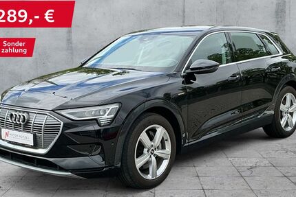 Audi e-tron 53.437 km 28.930 &euro; Hof 95030
