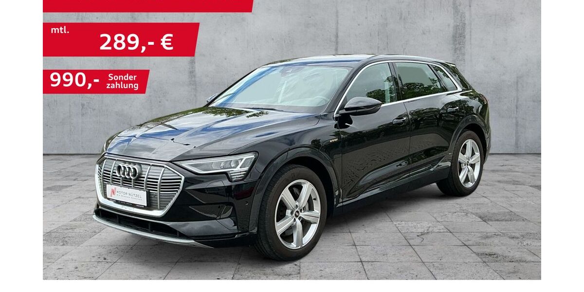 Audi e-tron 53.437 km 28.930 &euro; Hof 95030