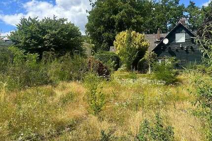 Grundstück zu verkaufen in Buchholz 425.000 € 504 m² zimmer