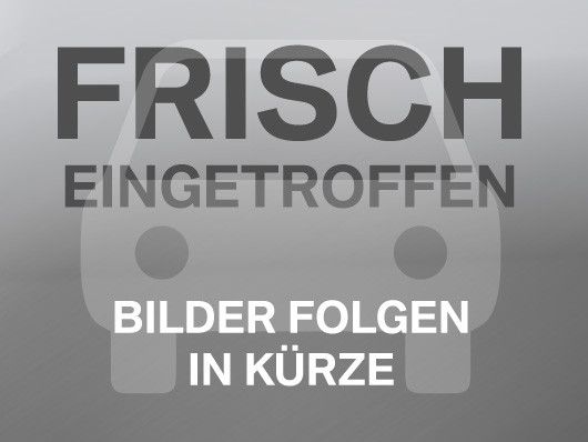 Ford Transit Custom 100.000 km 17.990 &euro; Worms 67547