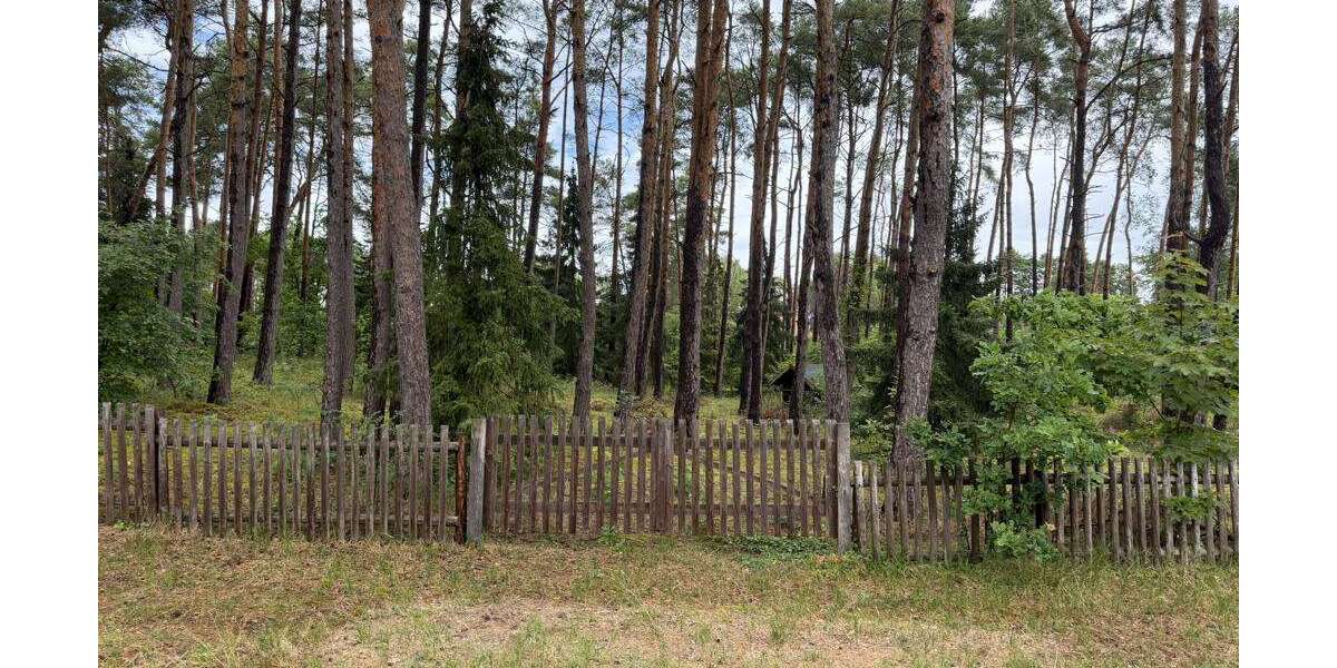 Grundstück Gorleben - 55.000&euro; | Angebot:27272802