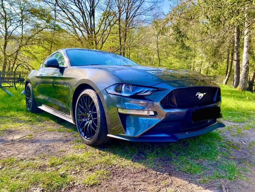 Mustang