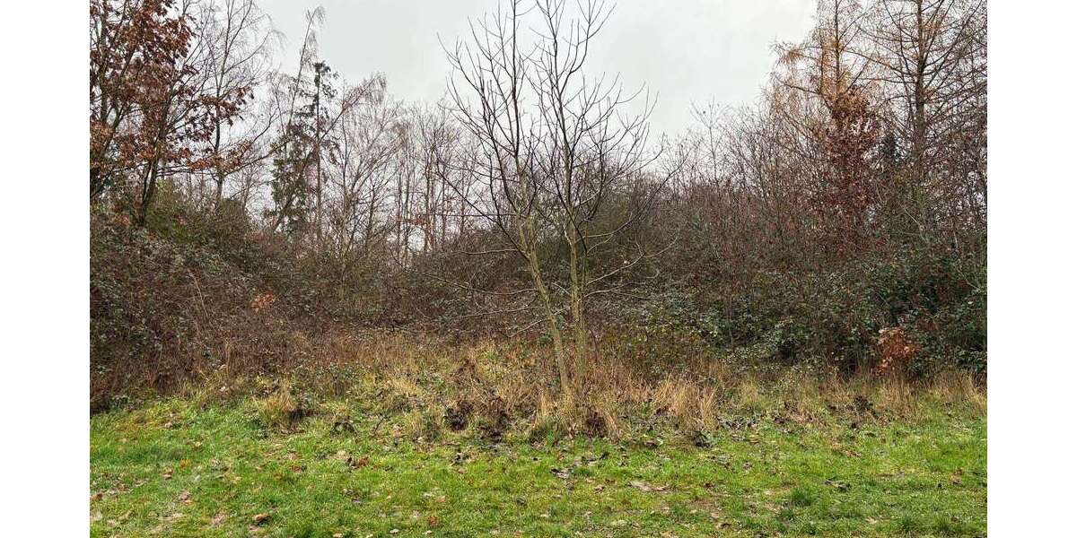 Grundstück zu verkaufen in Dannenfels 6.990 € 995 m² zimmer