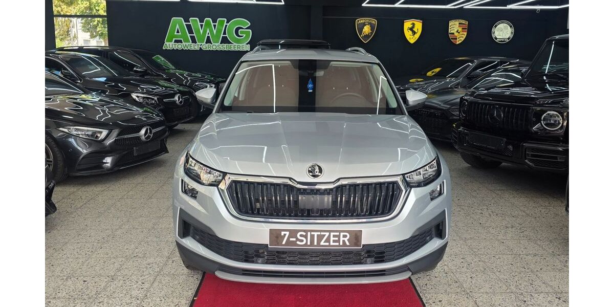 Skoda Kodiaq 159.000 km 22.450 &euro; Grossbeeren 14979