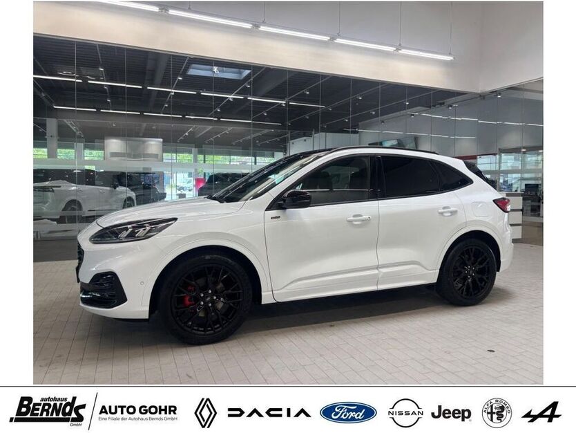 Kuga