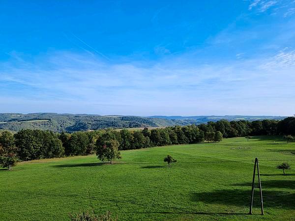 Einfamilienhaus Kirn - 12 Zimmer, 350 m&sup2;, 2.590.000&euro; | Angebot:26940680