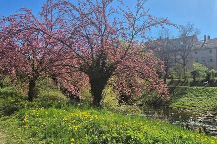 Doppelgarage mit zwei Stellplätzen in Freiburg - Schwarzwaldstraße 15, Nahe Schwabentor & Dreisam zimmer